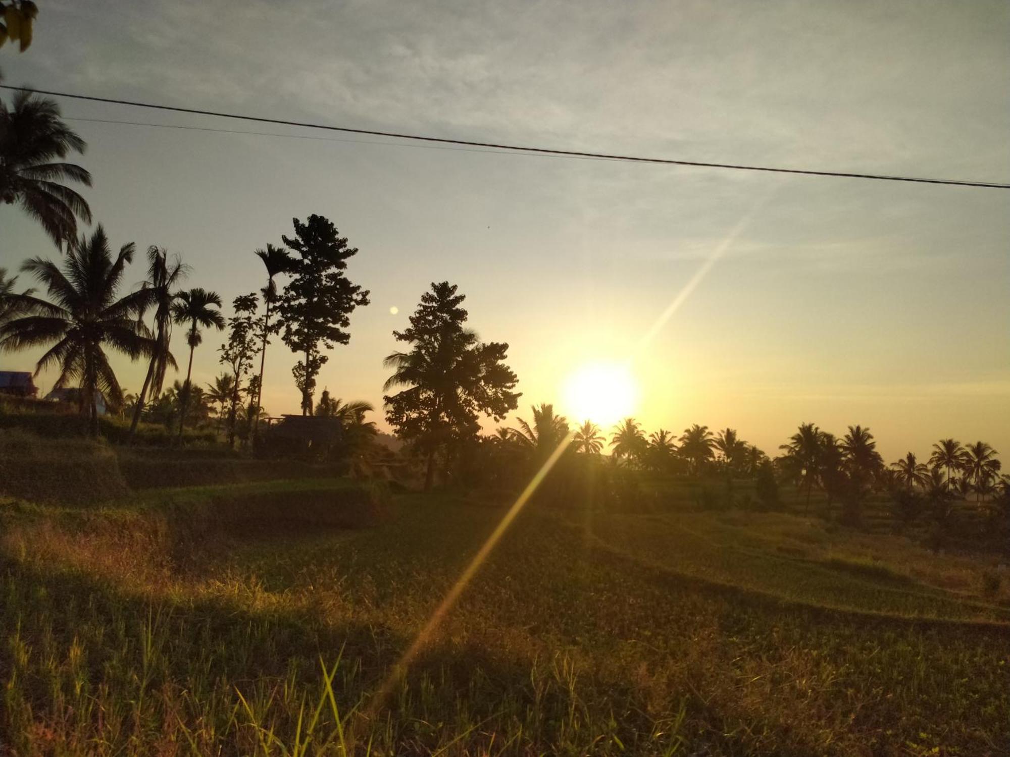 Taman *